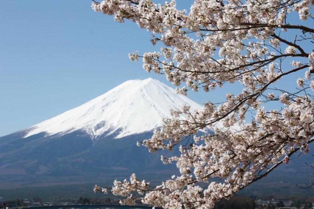 富士河口湖町 御師の家　梅谷（Umeya）ヴィラ エクステリア 写真